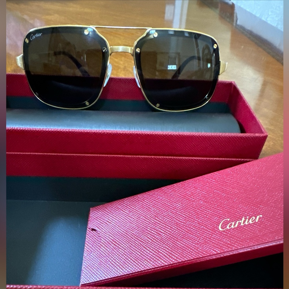 Cartier Santos de Cartier men sunglasses